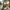 Fotografia con iOS 19: Scopri le Rivoluzionarie Funzioni della Fotocamera di Apple