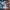 L'Ascesa del Video Blogging in Informatica: Tendenze su YouTube nel 2025
