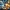 Posso Fare Trading di Criptovalute sul Forex? Guida Completa 2025