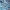Scopri i Vantaggi di OpenLiteSpeed rispetto ad Apache e Altri Server Web