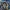 Video Live Streaming su YouTube: Guida Avanzata per Tecnologi